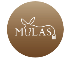 /shared/superadmin/content/images/dynamic/deal/9075924/offer-image-9075924-4frSHusch2-1740076934.jpg