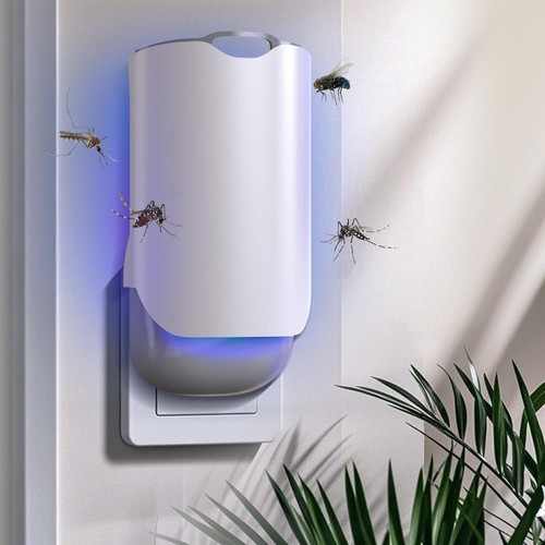 /shared/superadmin/content/images/dynamic/deal/9081041/offer-image-9081041-1VVNj24det-1747161961.jpeg