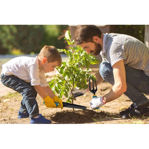 /shared/superadmin/content/images/dynamic/deal/9081128/offer-image-9081128-8kZ47zjRum-1747162508.jpeg