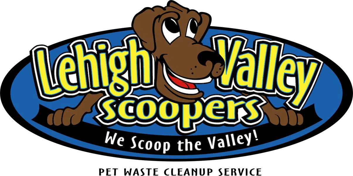 /shared/superadmin/content/images/dynamic/deal/9083140/offer-image-9083140-rpIkmV5YkL-1759511980.jpg